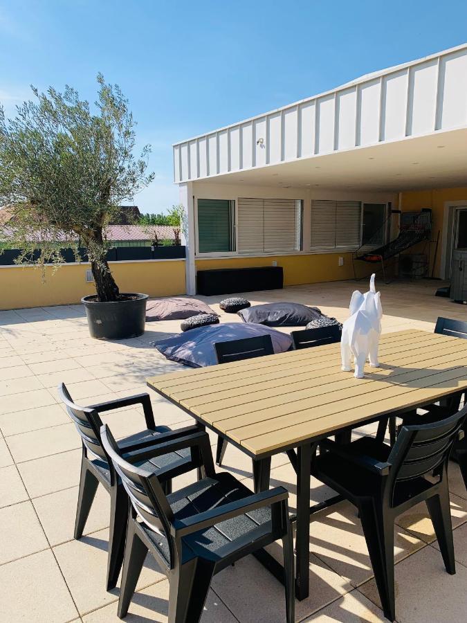 Apartamento La Terrasse Du Parc Marckolsheim Exterior foto